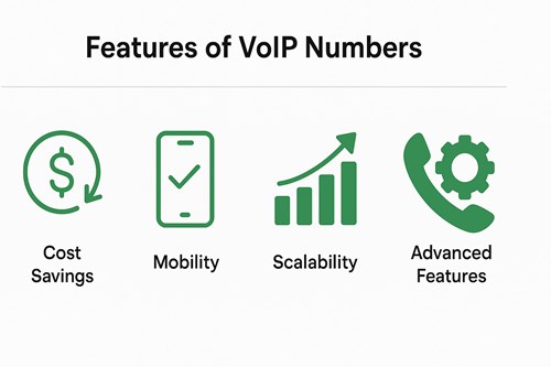 features of VoIP Numbers